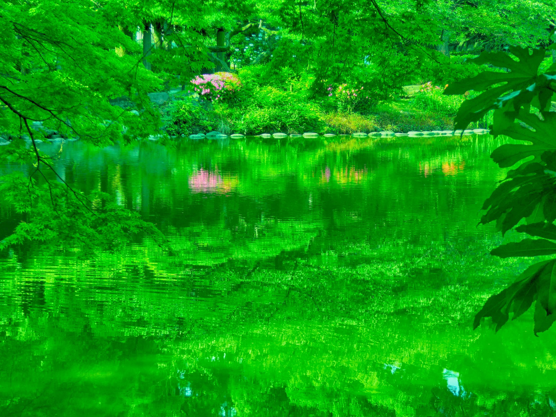 日本の風景 新緑のリフレクション 壁紙19x1440 壁紙館