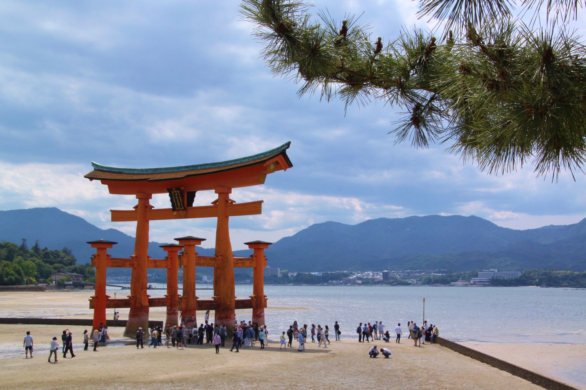 日本の風景 厳島神社鳥居 壁紙19x1280 壁紙館