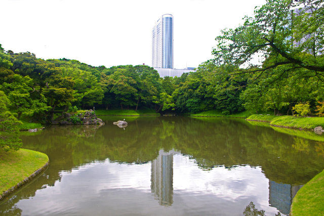 静寂の小石川後楽園