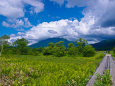 夏雲湧く尾瀬