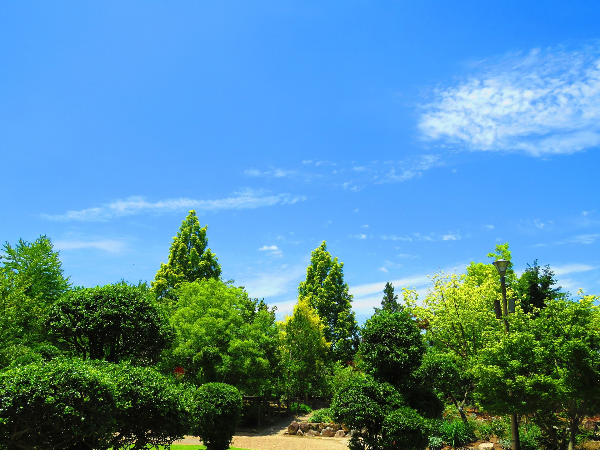 日本の風景 梅雨の晴れ間の青空 壁紙19x1440 壁紙館