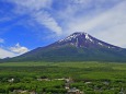 夏の富士山