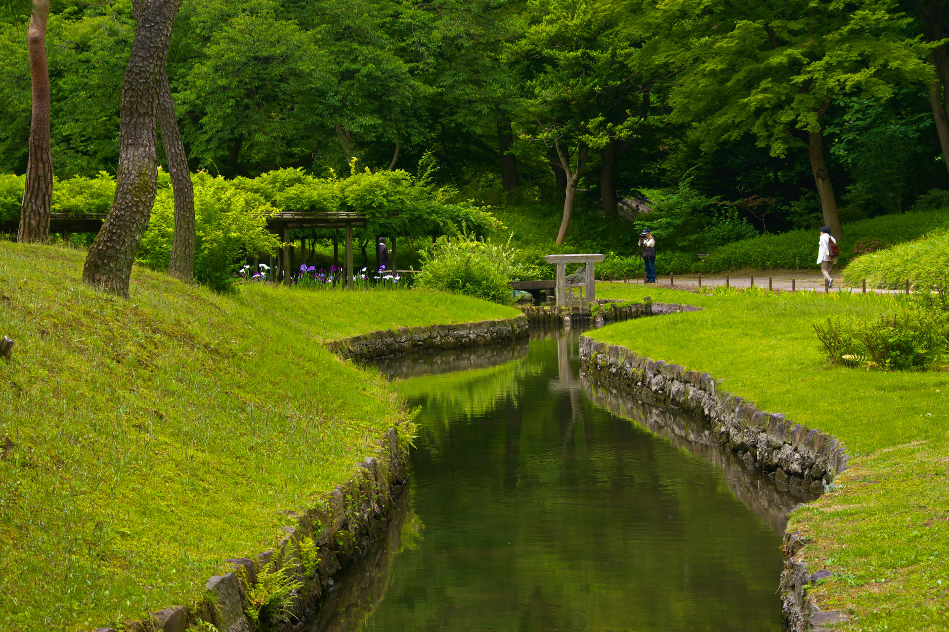 日本の風景 深緑の小石川後楽園 壁紙19x1280 壁紙館