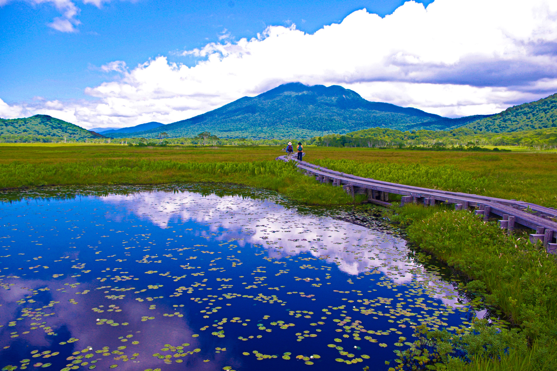 日本の風景 夏色の尾瀬 壁紙1920x1280 壁紙館