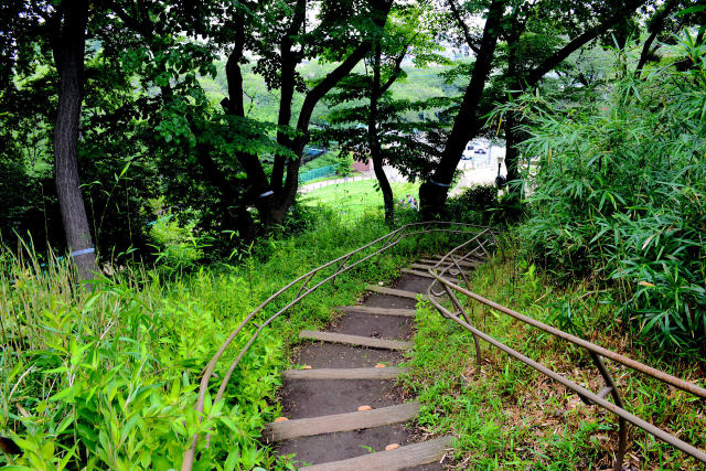 公園の小山から