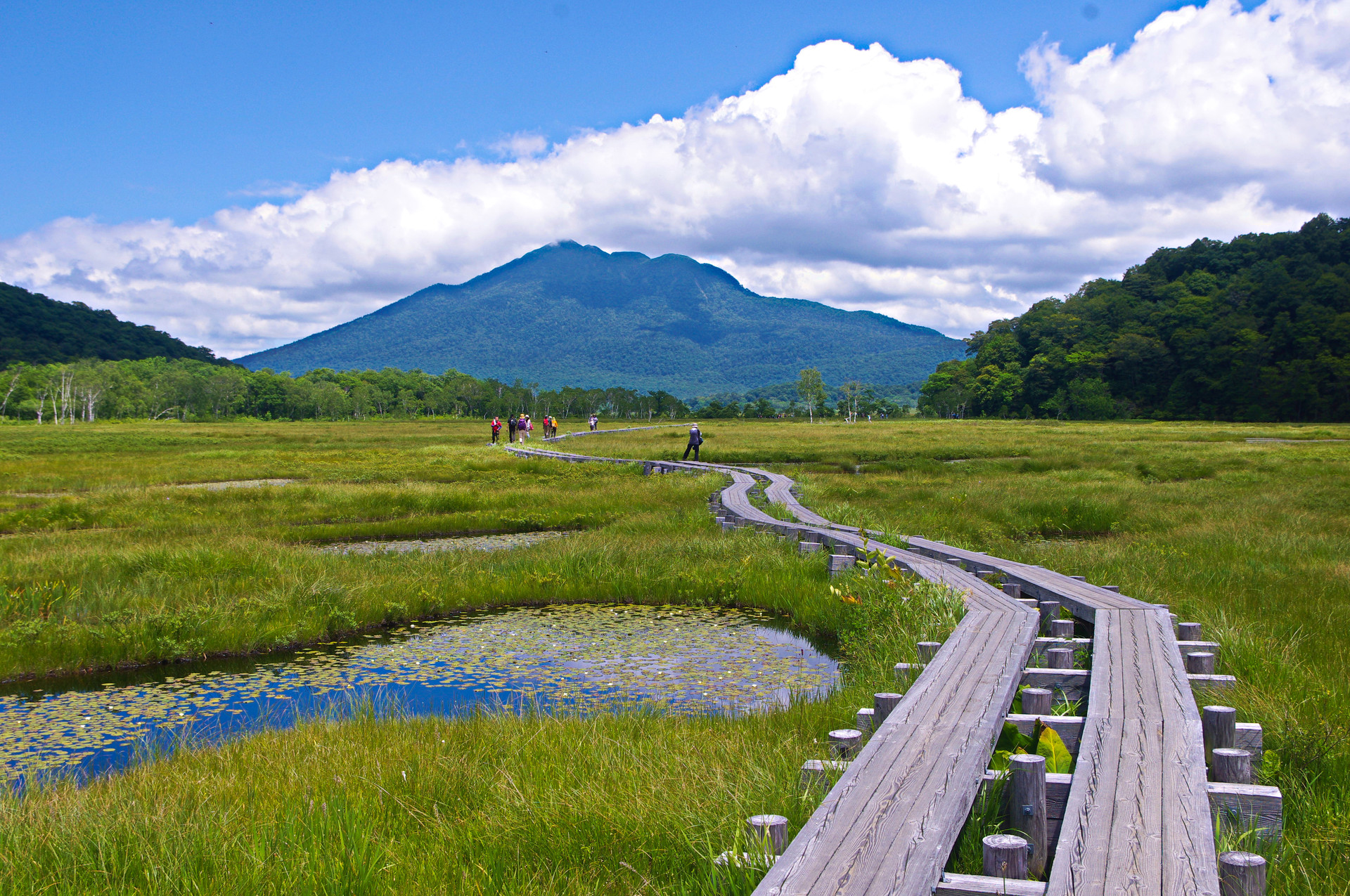 日本の風景 夏色の尾瀬 壁紙19x1275 壁紙館