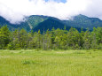 上高地 田代湿原