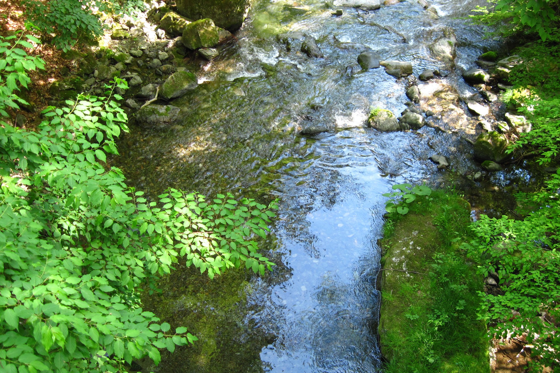 日本の風景 涼しいよ木漏れ日の清流 壁紙19x1280 壁紙館