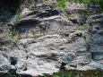 飛水峡の岩肌