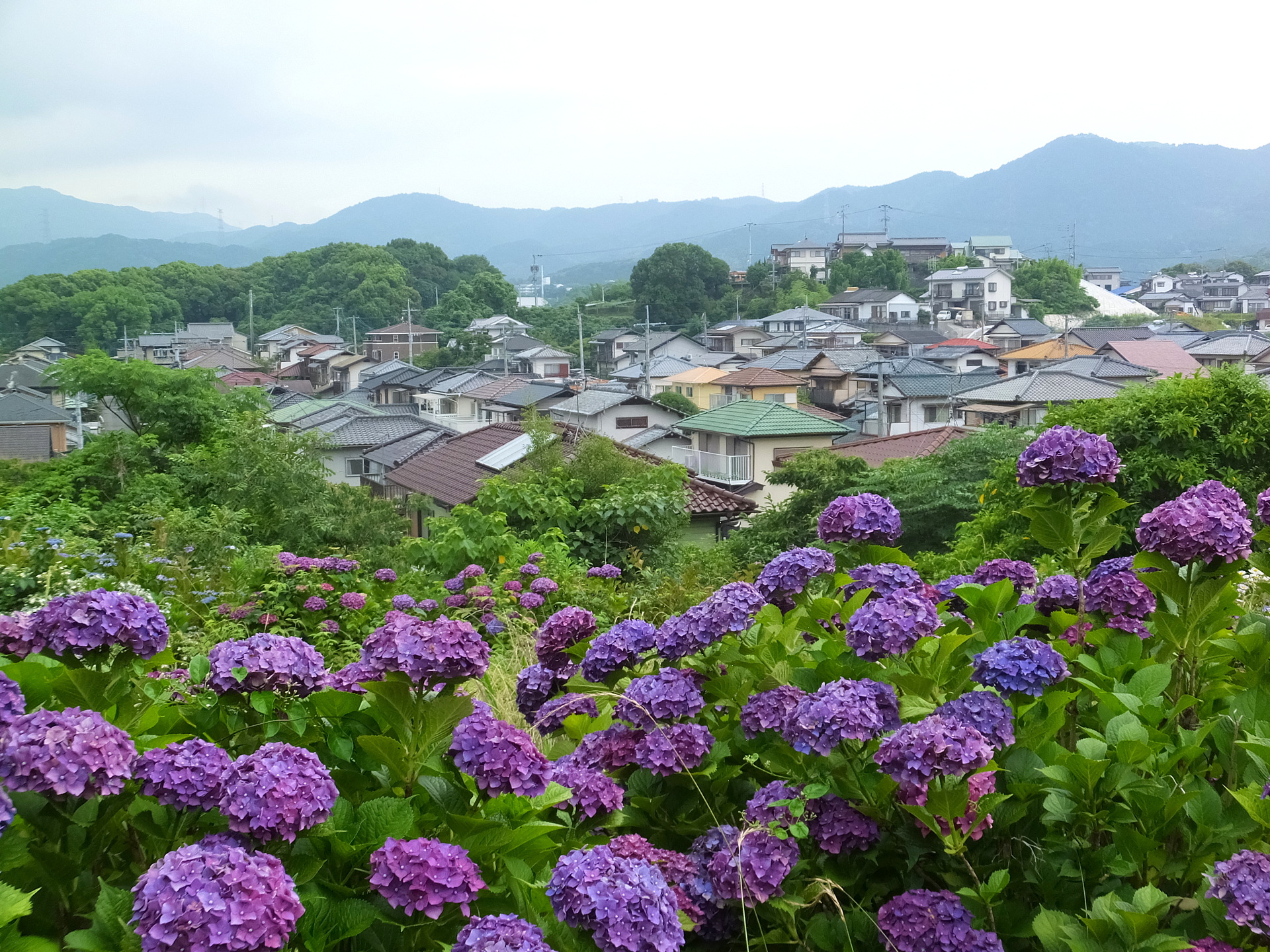 日本の風景 里山からの梅雨景色 壁紙1920x1440 壁紙館