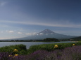 富士山&ラベンダー