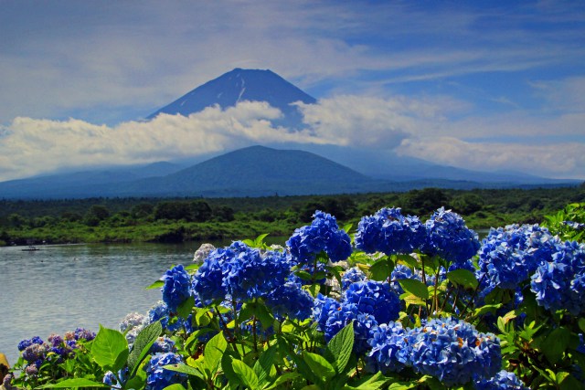 精進湖の富士山