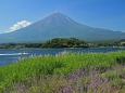 河口湖の富士