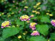 RndList[3]