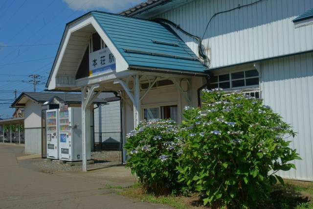 えちぜん鉄道本庄駅前の紫陽花