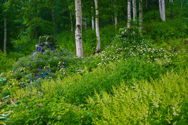 ドレスガーデン ツイン