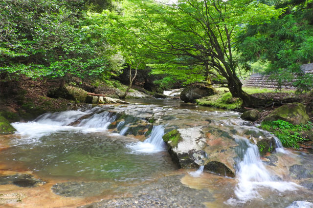 日本の風景 渓流 夏3 壁紙館