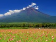 夏雲湧く富士山