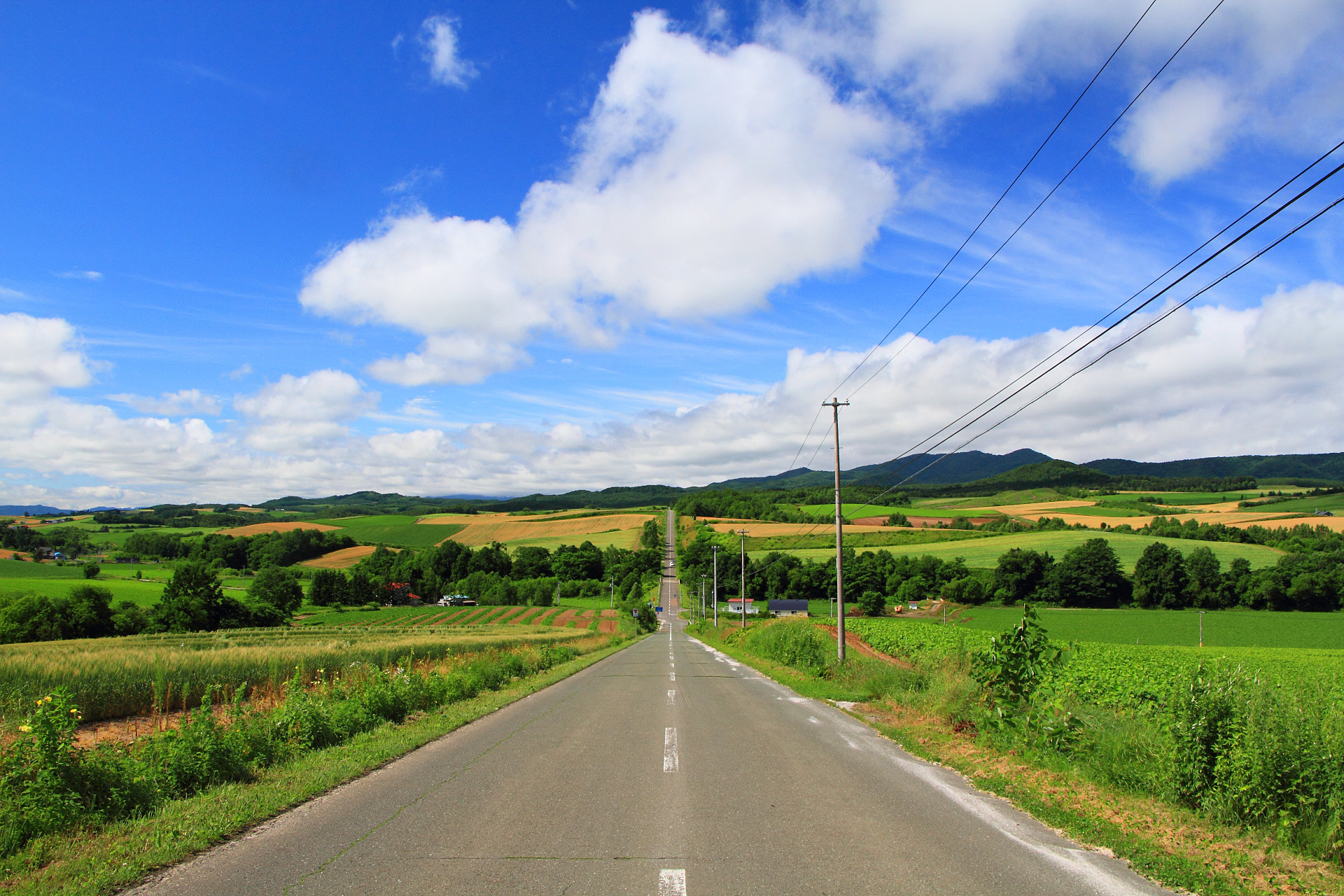 日本の風景 美瑛夏3ジェットコースターの道 壁紙1920x1280 壁紙館