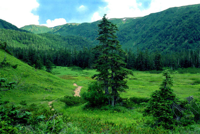高天原の登山道