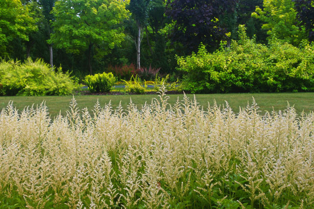 帯広・真鍋庭園