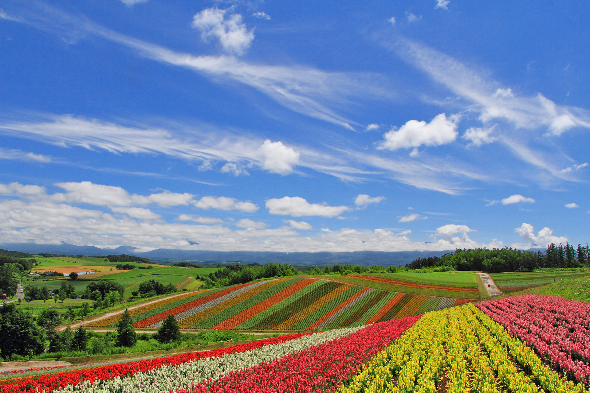 日本の風景 美瑛の夏18 お花畑と夏の空 壁紙1920x1280 壁紙館