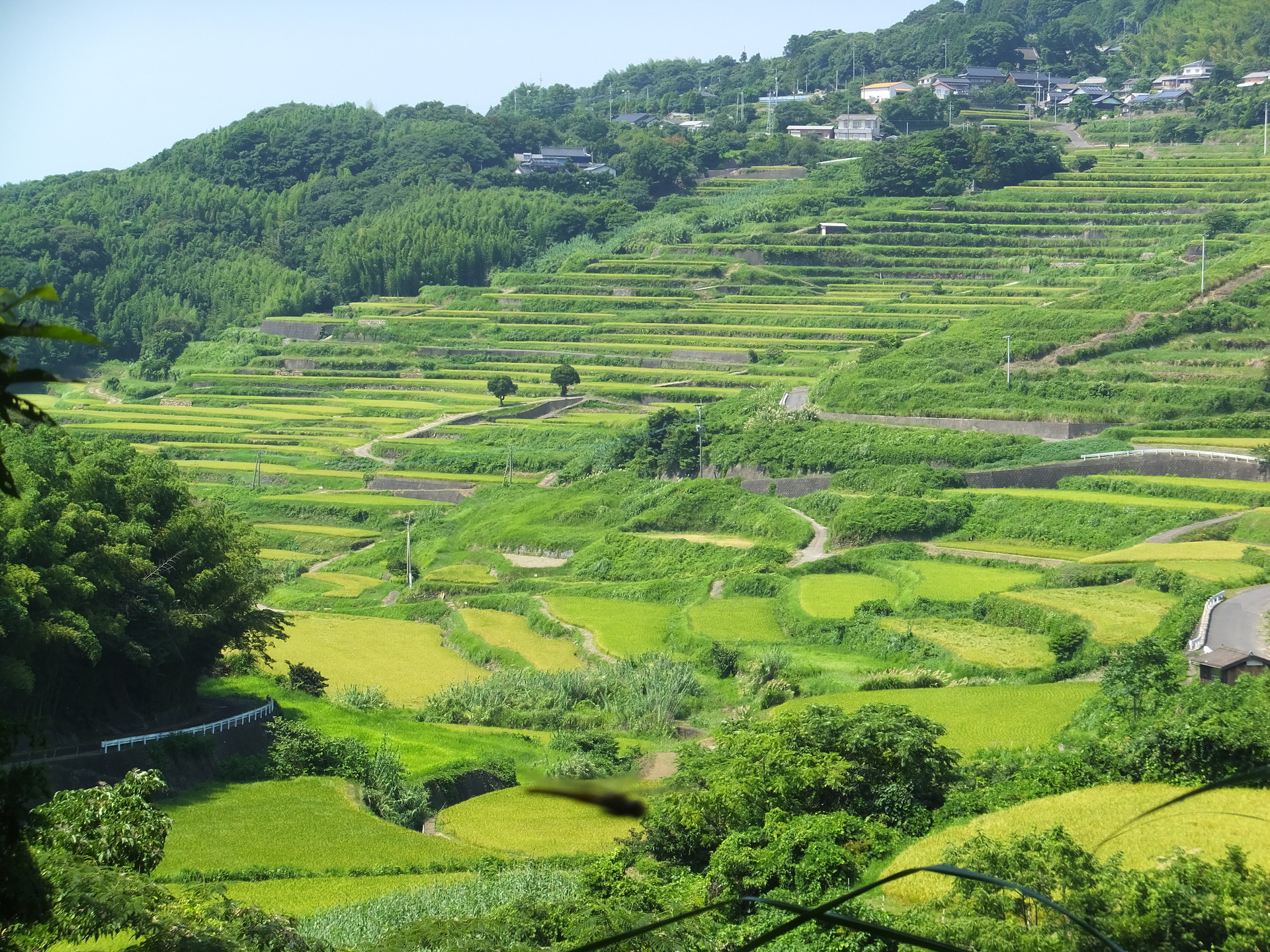 日本の風景 土谷の棚田 壁紙19x1440 壁紙館