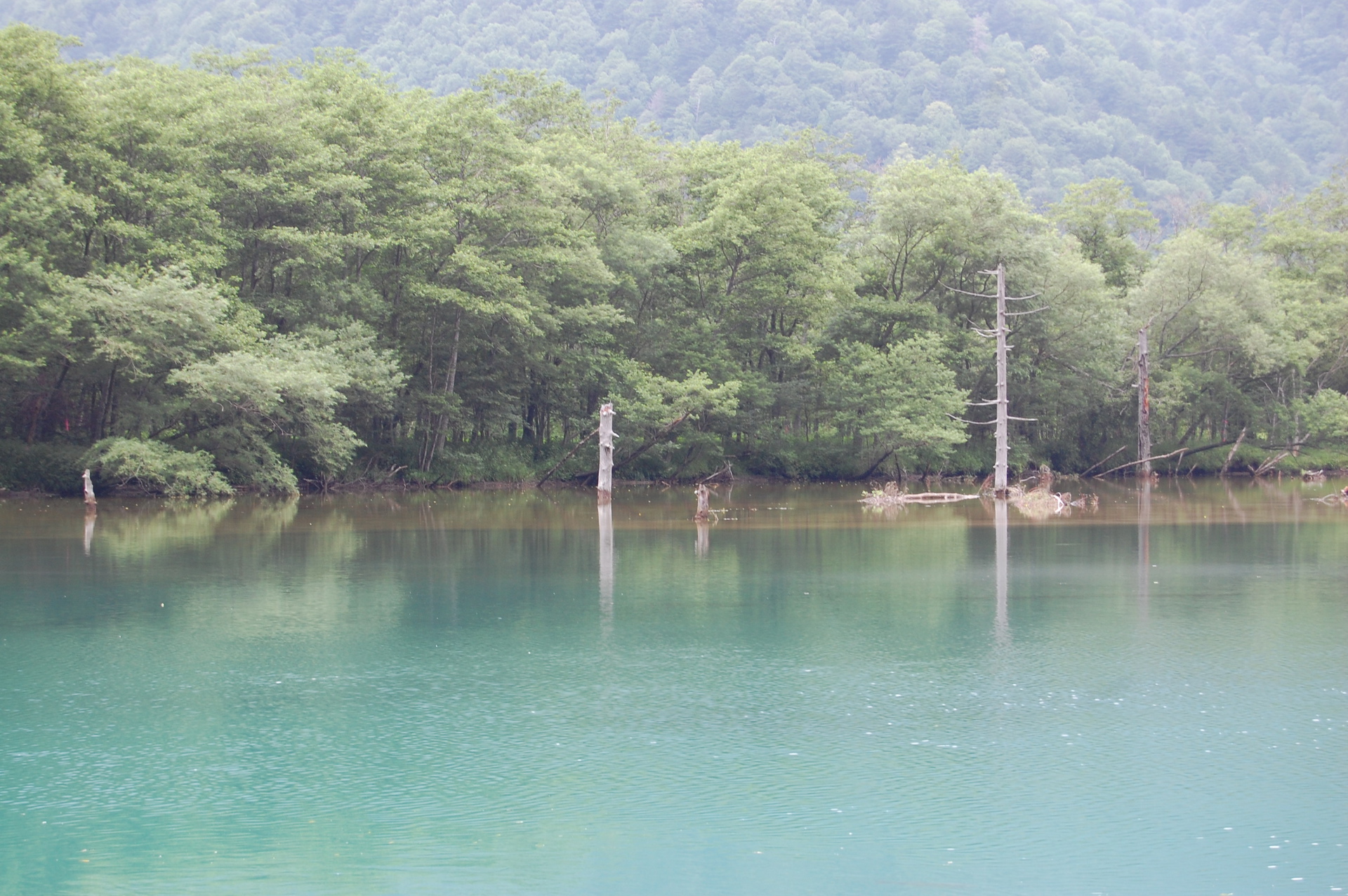 日本の風景 青い池 大正池 壁紙19x1277 壁紙館 日本の風景 青い池 大正池 壁紙19x1277 壁紙館