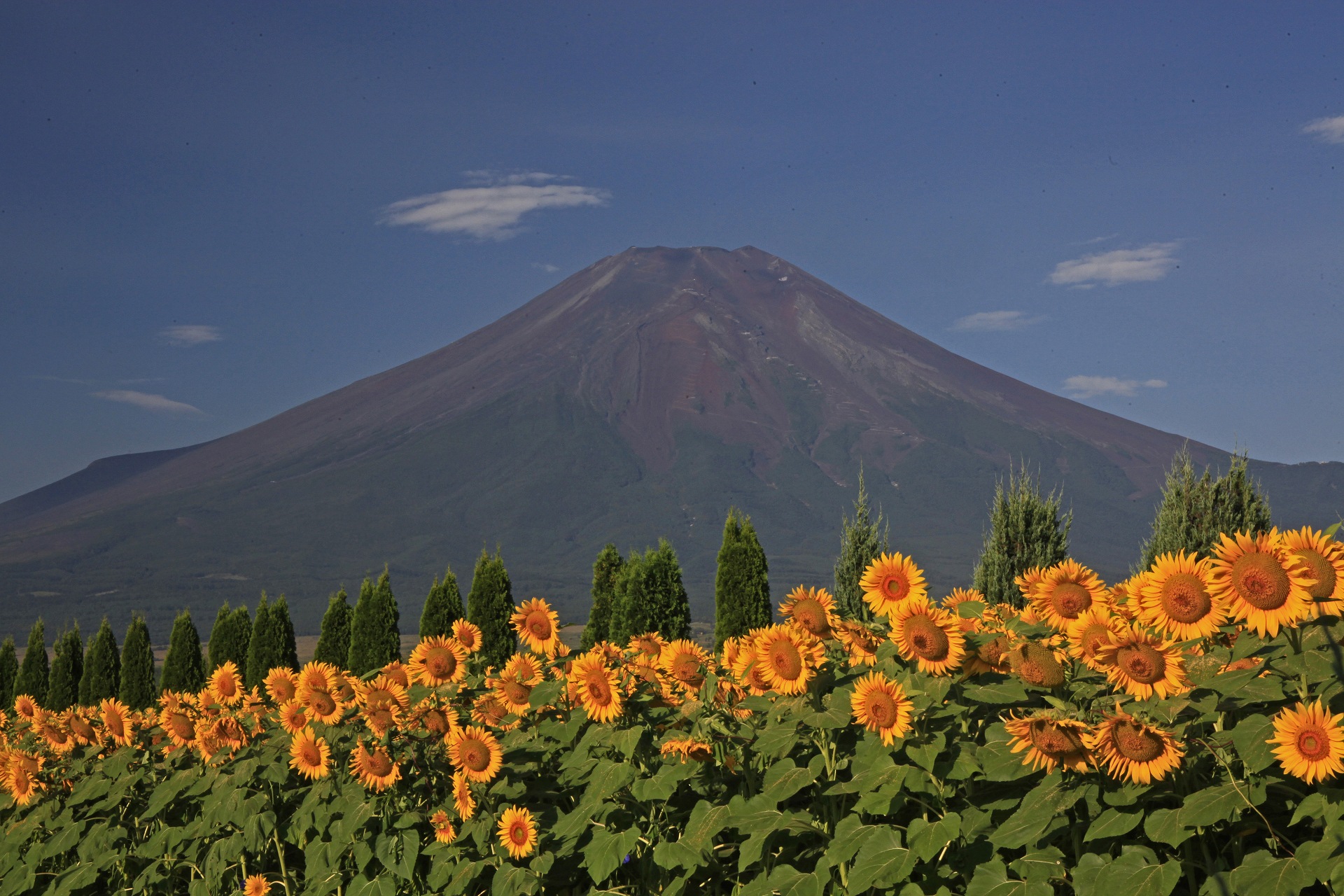 日本の風景 夏の富士山 壁紙19x1280 壁紙館