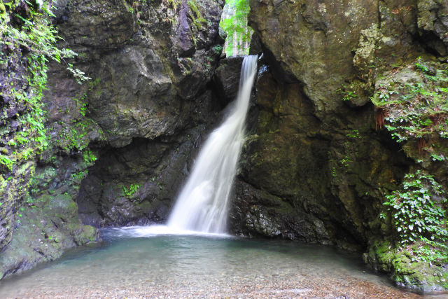 渓流-夏39-不動滝