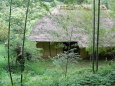 竹と古民家