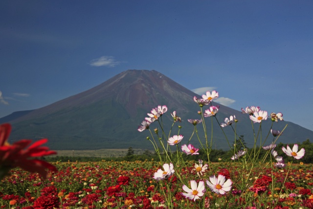 晩夏の富士山