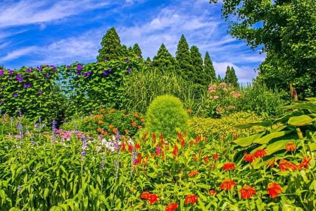 井栗の森 夢花壇