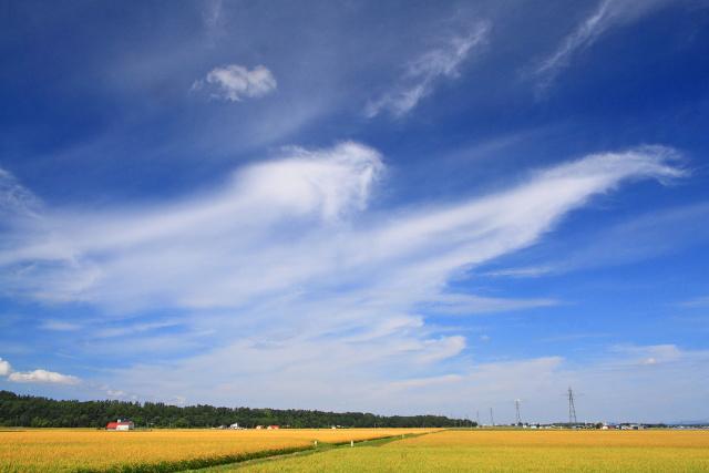 白雲舞う初秋の大空