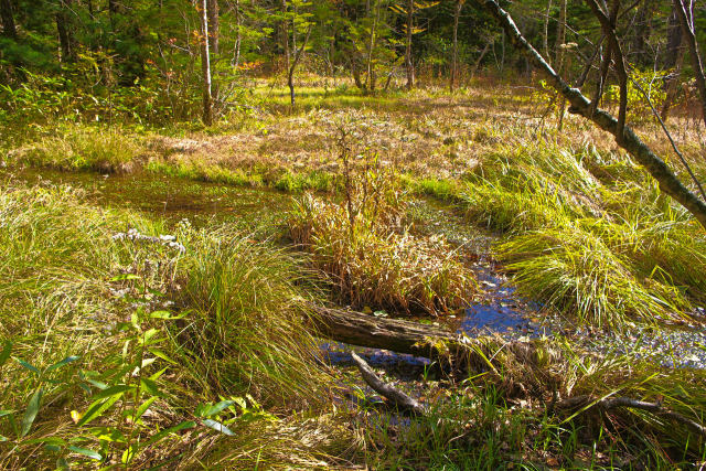上高地を流れる小川