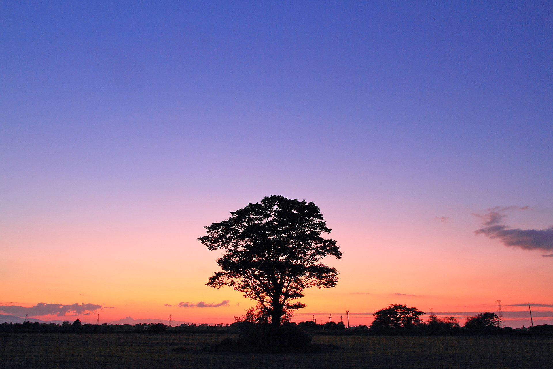 朝焼け 夕焼け 夕彩の一本木 石狩平野 壁紙19x1280 壁紙館