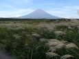 富士山とススキ