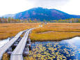秋色の尾瀬 ・ 至仏山と池塘