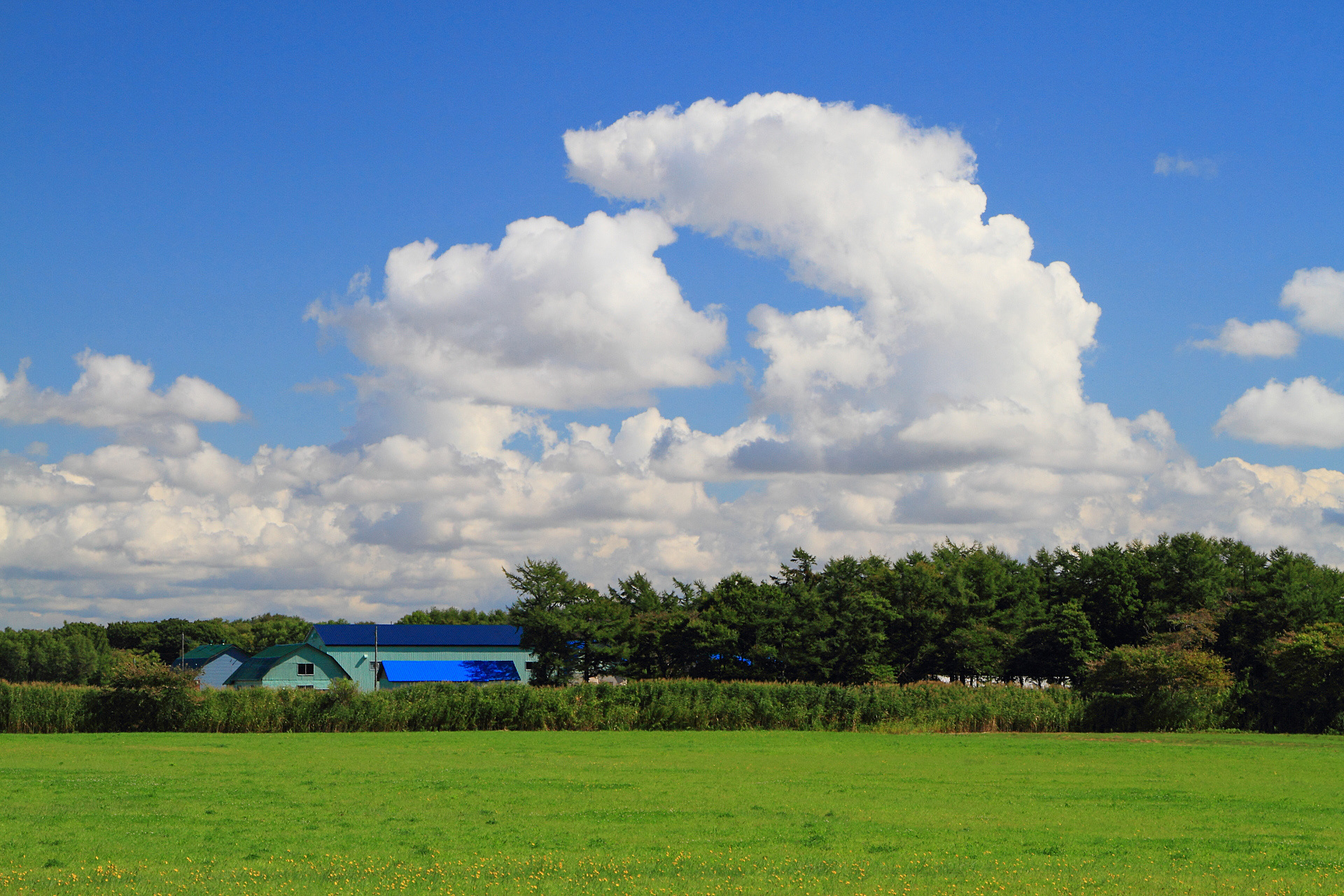 日本の風景 綿雲群れる秋の空 壁紙19x1280 壁紙館