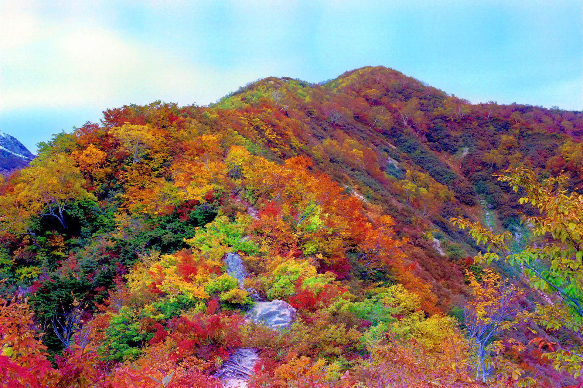 日本の風景 仙人山付近の紅葉 壁紙19x1280 壁紙館