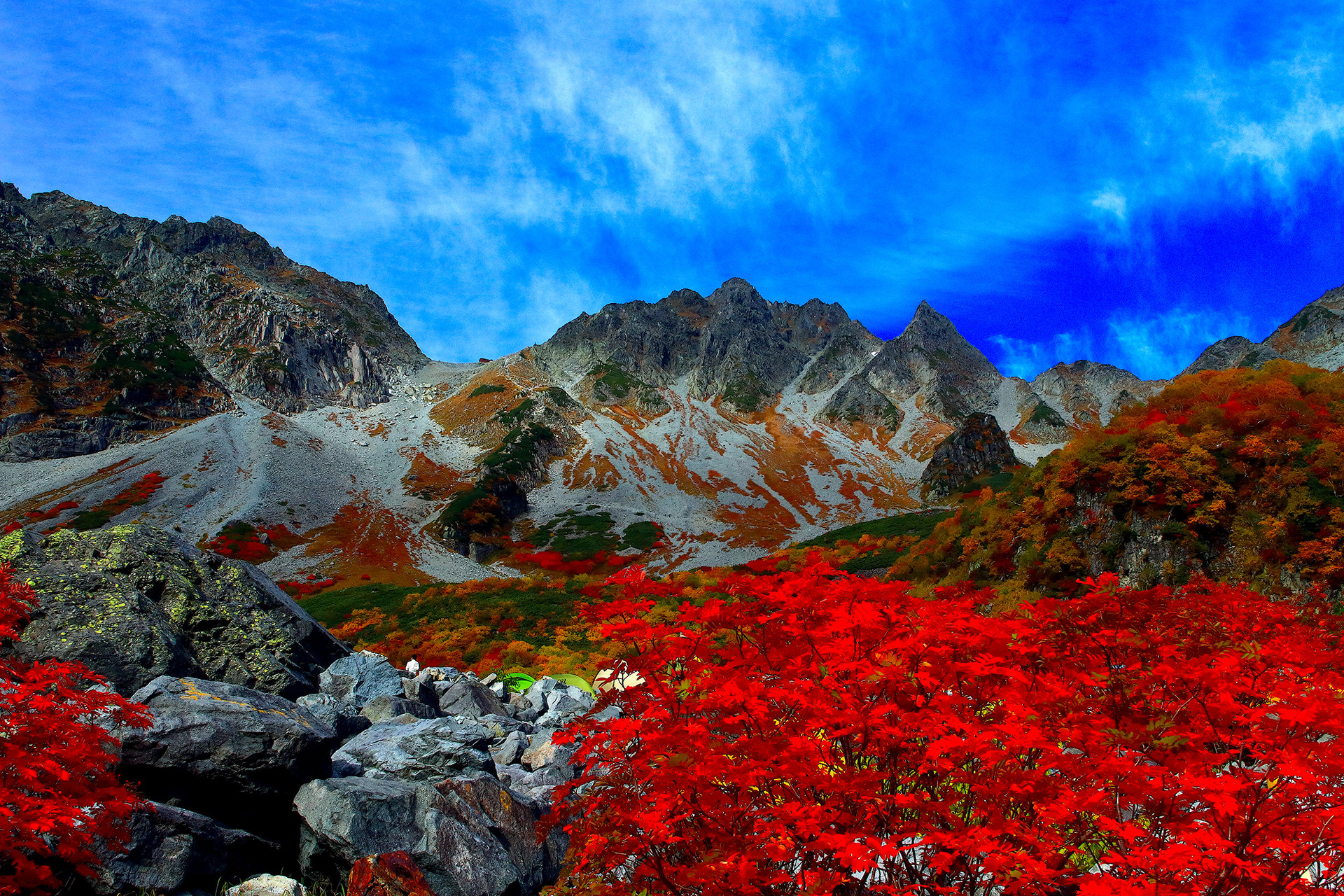 日本の風景 萌咲ナナカマド 壁紙19x1280 壁紙館