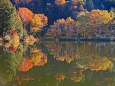志賀高原木戸池の秋