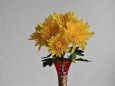 ベネチアン花瓶に食用菊