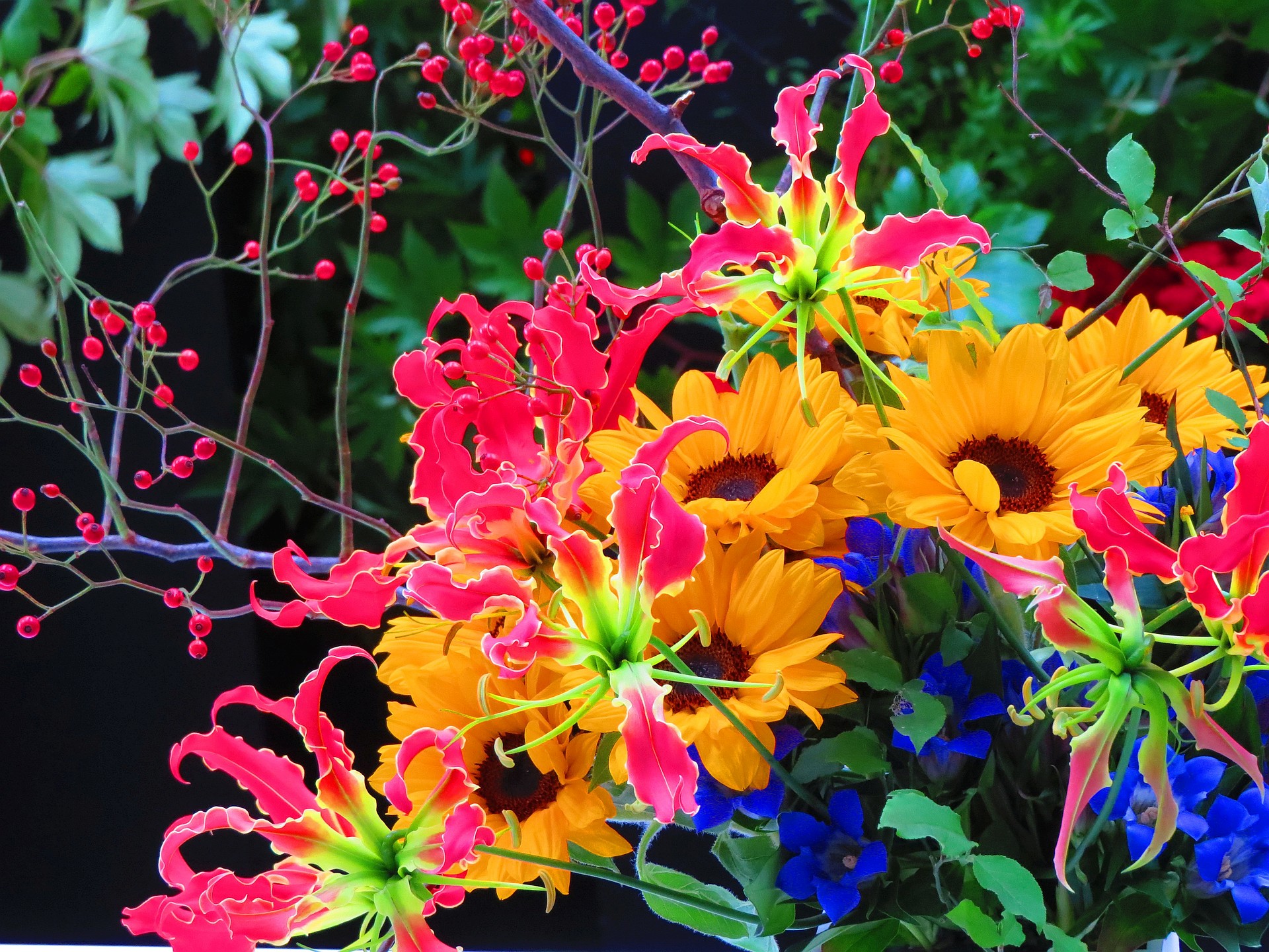 花 植物 時空の広場フラワーアート展で 壁紙19x1440 壁紙館