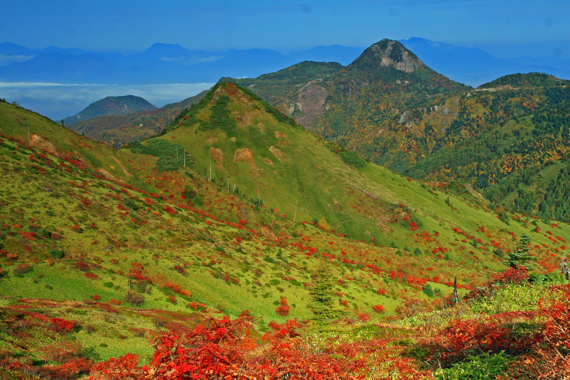 日本の風景 紅葉志賀高原 壁紙19x1280 壁紙館 日本の風景 紅葉志賀高原 壁紙19x1280 壁紙館