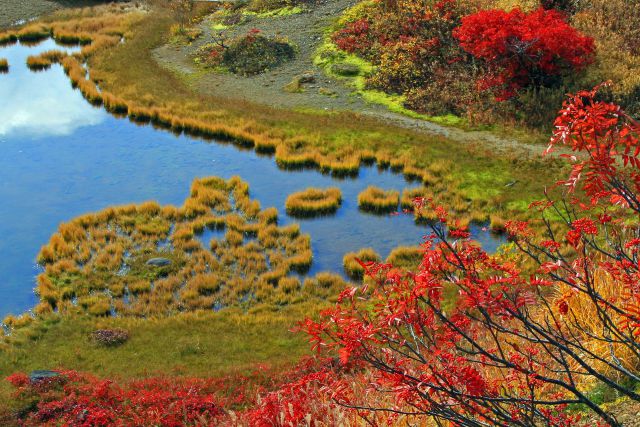 秋の弓が池