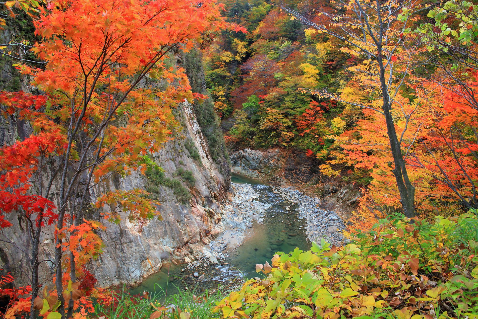 日本の風景 秋の渓谷 壁紙19x1280 壁紙館
