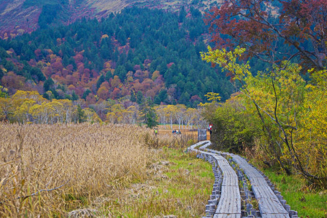秋色の尾瀬ヶ原