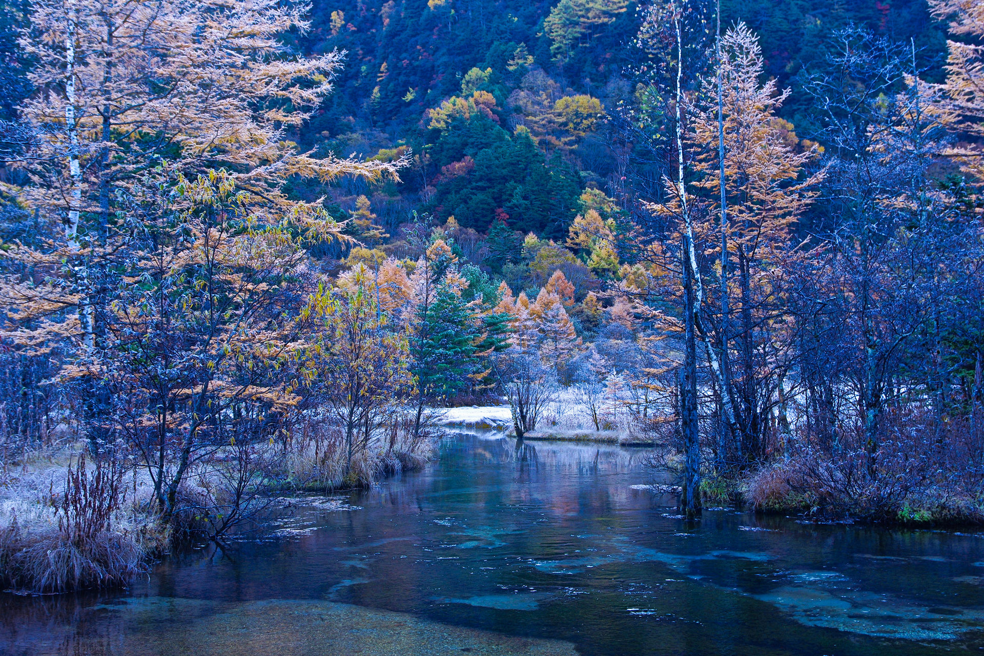 日本の風景 幻想的な田代池 壁紙19x1280 壁紙館