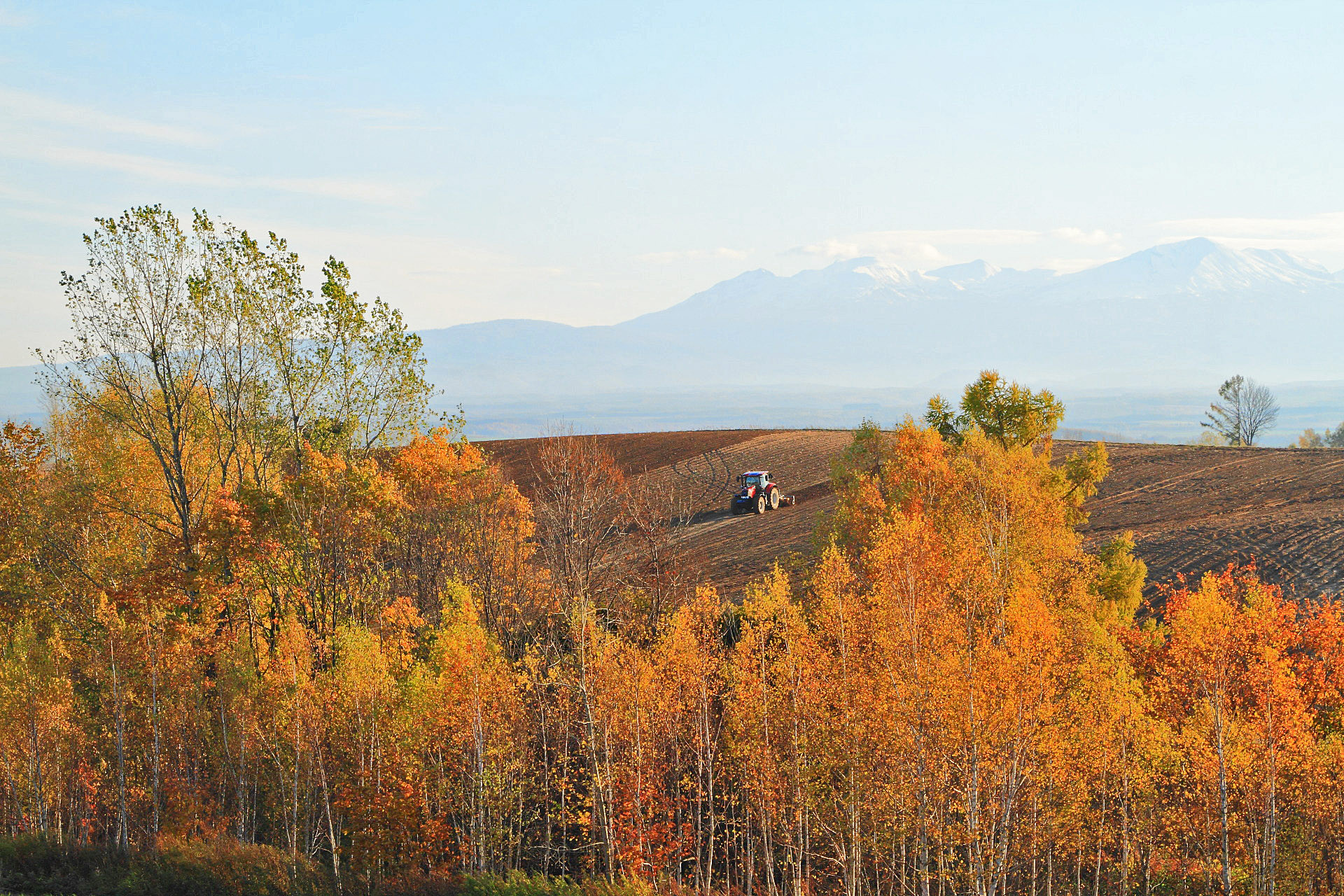 日本の風景 美瑛の秋 2 秋彩の丘と旭岳 壁紙19x1280 壁紙館